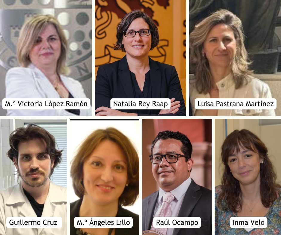 Junta de Gobierno de la SEAD 2027-2031
